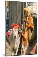 Sadhu, Holy Man, with Cow During Pushkar Camel Festival, Rajasthan, Pushkar, India-David Noyes-Mounted Photographic Print