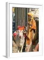 Sadhu, Holy Man, with Cow During Pushkar Camel Festival, Rajasthan, Pushkar, India-David Noyes-Framed Photographic Print