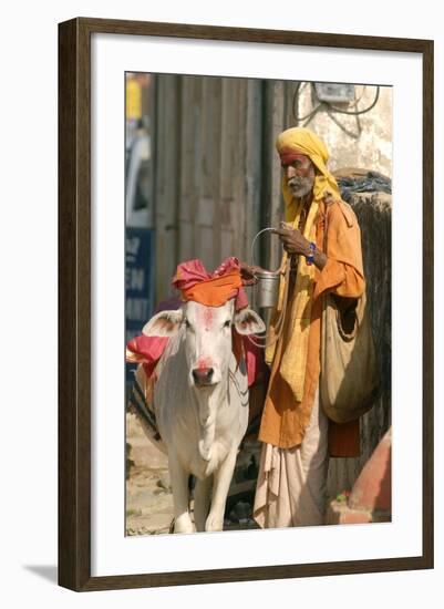 Sadhu, Holy Man, with Cow During Pushkar Camel Festival, Rajasthan, Pushkar, India-David Noyes-Framed Photographic Print