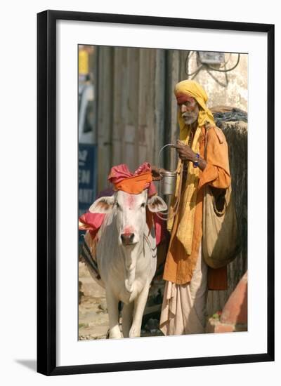 Sadhu, Holy Man, with Cow During Pushkar Camel Festival, Rajasthan, Pushkar, India-David Noyes-Framed Photographic Print