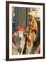 Sadhu, Holy Man, with Cow During Pushkar Camel Festival, Rajasthan, Pushkar, India-David Noyes-Framed Photographic Print