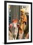 Sadhu, Holy Man, with Cow During Pushkar Camel Festival, Rajasthan, Pushkar, India-David Noyes-Framed Photographic Print