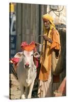 Sadhu, Holy Man, with Cow During Pushkar Camel Festival, Rajasthan, Pushkar, India-David Noyes-Stretched Canvas