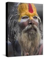 Sadhu, Shivaratri Festival, Pashupatinath Temple, Kathmandu, Nepal-Jane Sweeney-Stretched Canvas