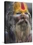 Sadhu, Shivaratri Festival, Pashupatinath Temple, Kathmandu, Nepal-Jane Sweeney-Stretched Canvas