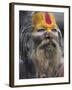 Sadhu, Shivaratri Festival, Pashupatinath Temple, Kathmandu, Nepal-Jane Sweeney-Framed Photographic Print