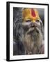 Sadhu, Shivaratri Festival, Pashupatinath Temple, Kathmandu, Nepal-Jane Sweeney-Framed Photographic Print