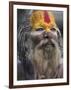 Sadhu, Shivaratri Festival, Pashupatinath Temple, Kathmandu, Nepal-Jane Sweeney-Framed Photographic Print