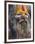 Sadhu, Shivaratri Festival, Pashupatinath Temple, Kathmandu, Nepal-Jane Sweeney-Framed Photographic Print