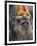 Sadhu, Shivaratri Festival, Pashupatinath Temple, Kathmandu, Nepal-Jane Sweeney-Framed Photographic Print