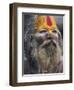 Sadhu, Shivaratri Festival, Pashupatinath Temple, Kathmandu, Nepal-Jane Sweeney-Framed Photographic Print