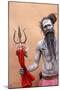 Sadhu with Shiva trident attending Haridwar Kumbh Mela, Haridwar, Uttarakhand, India-Godong-Mounted Photographic Print