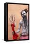 Sadhu with Shiva trident attending Haridwar Kumbh Mela, Haridwar, Uttarakhand, India-Godong-Framed Stretched Canvas