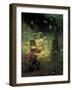 Sadko In The Underwater Kingdom-Ilya Repin-Framed Art Print