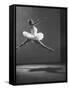 Sadler Wells Prima Ballerina Margot Fonteyn Leaping Into Air in Performance of "Sleeping Beauty"-Gjon Mili-Framed Stretched Canvas