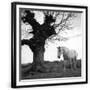 Chelsea Black
