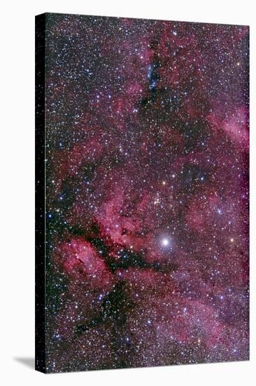 Sadr Region of Cygnus around Gamma Cygni-null-Stretched Canvas