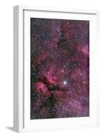 Sadr Region of Cygnus around Gamma Cygni-null-Framed Photographic Print