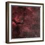 Sadr Region with the Crescent Nebula-Stocktrek Images-Framed Photographic Print