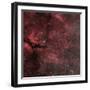 Sadr Region with the Crescent Nebula-Stocktrek Images-Framed Photographic Print