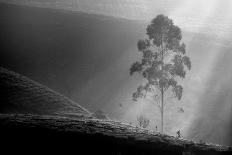 Itself on a Long Journey-Saelanwangsa-Framed Photographic Print