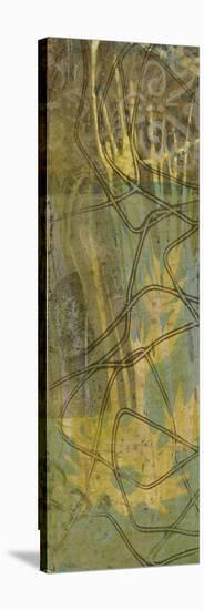 Safari Abstract I-Jennifer Goldberger-Stretched Canvas