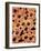 Safari Adventure Animal Footprints-Bee Sturgis-Framed Art Print