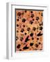 Safari Adventure Animal Footprints-Bee Sturgis-Framed Art Print