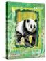 Safari Adventure Jungle Panda-Bee Sturgis-Stretched Canvas