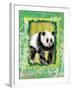 Safari Adventure Jungle Panda-Bee Sturgis-Framed Art Print