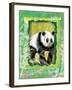 Safari Adventure Jungle Panda-Bee Sturgis-Framed Art Print