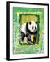 Safari Adventure Jungle Panda-Bee Sturgis-Framed Art Print