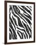 Safari Adventure Jungle Zebra Hide-Bee Sturgis-Framed Art Print