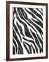 Safari Adventure Jungle Zebra Hide-Bee Sturgis-Framed Art Print