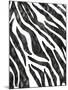 Safari Adventure Jungle Zebra Hide-Bee Sturgis-Mounted Art Print