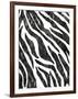 Safari Adventure Jungle Zebra Hide-Bee Sturgis-Framed Art Print