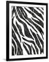 Safari Adventure Jungle Zebra Hide-Bee Sturgis-Framed Art Print