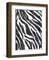 Safari Adventure Jungle Zebra Hide-Bee Sturgis-Framed Art Print