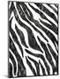 Safari Adventure Jungle Zebra Hide-Bee Sturgis-Mounted Art Print