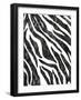 Safari Adventure Jungle Zebra Hide-Bee Sturgis-Framed Art Print