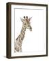 Safari Animal Portraits II-Melissa Wang-Framed Art Print