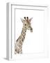 Safari Animal Portraits II-Melissa Wang-Framed Art Print