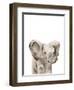 Safari Animal Portraits III-Melissa Wang-Framed Art Print