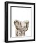 Safari Animal Portraits III-Melissa Wang-Framed Art Print