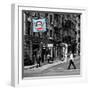 Safari CityPop Collection - Animal Kingdom in Manhattan II-Philippe Hugonnard-Framed Photographic Print