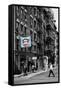 Safari CityPop Collection - Animal Kingdom in Manhattan-Philippe Hugonnard-Framed Stretched Canvas