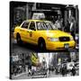 Safari CityPop Collection in New York-Philippe Hugonnard-Stretched Canvas