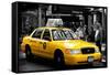 Safari CityPop Collection - NYC Union Square II-Philippe Hugonnard-Framed Stretched Canvas