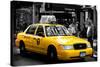 Safari CityPop Collection - NYC Union Square II-Philippe Hugonnard-Stretched Canvas