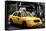 Safari CityPop Collection - NYC Union Square II-Philippe Hugonnard-Framed Stretched Canvas